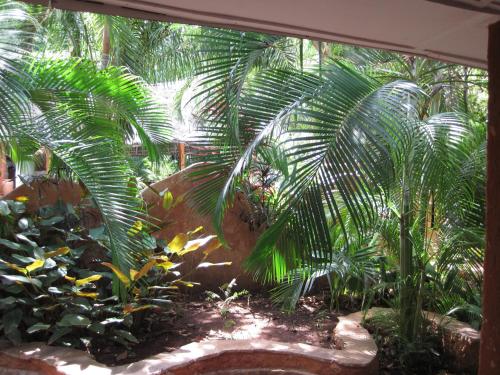 a tropical garden with palm trees and gold fishes at Boko Boko Guesthouse and Hotel in Kikambala