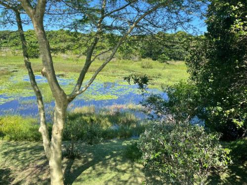 a view of a river with trees and a field at Nkumbe Bush Retreat Family Home in Ponta Malongane