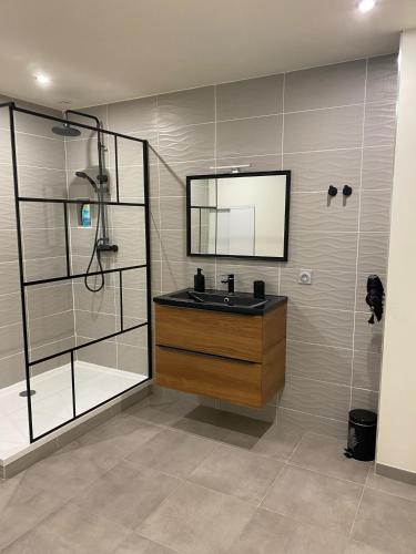 une salle de bain avec un lavabo et une douche dans l'établissement Maison face à la cité, à Carcassonne