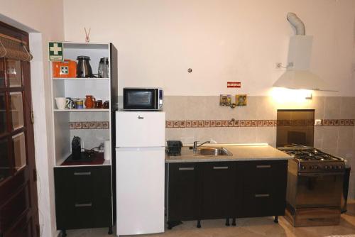 a kitchen with a white refrigerator and a sink at A Alegria Estúdio in Reguengos de Monsaraz
