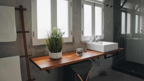 a bathroom with a sink and a plant on a wooden counter at Casas do Vale A Casa Casa familiar in Nordeste