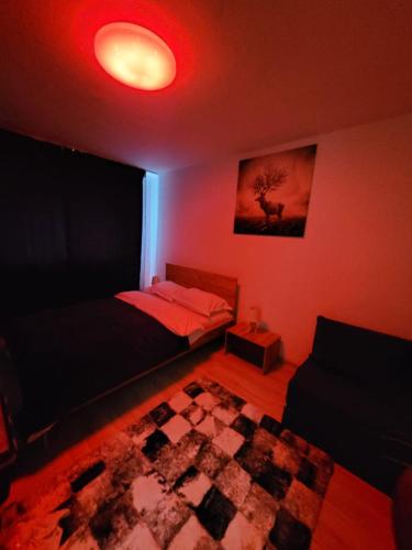 a bedroom with a bed and a rug and a red light at Casa Rusu -Moroasa-Self check in-24h Netflix in Reşiţa