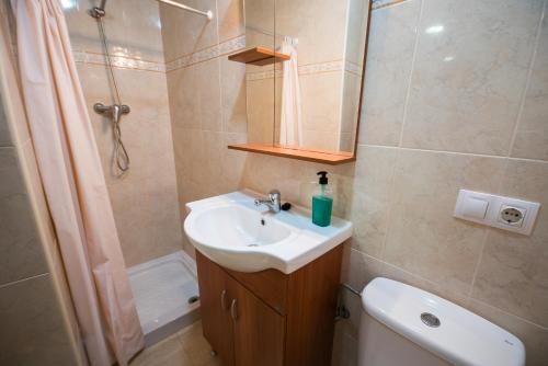 La salle de bains est pourvue d'un lavabo et d'une douche. dans l'établissement Apartamentos rurales Benafer, à Benafer
