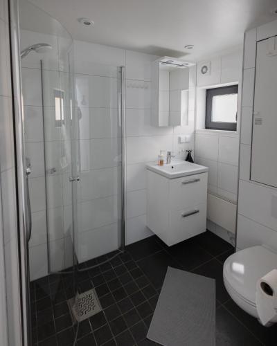 Ένα μπάνιο στο TINYLODGE am Ellertshäuser See