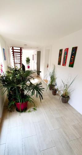 a room with potted plants and paintings on the wall at Boutique-Hotel Kronenstuben in Ludwigsburg
