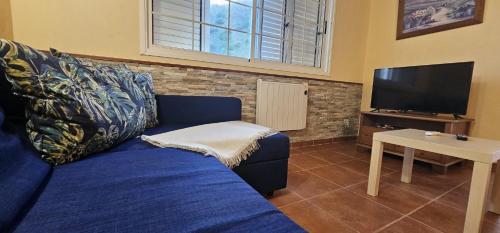 un salon avec un canapé bleu et une télévision dans l'établissement Casa Vivi, à Vallehermoso