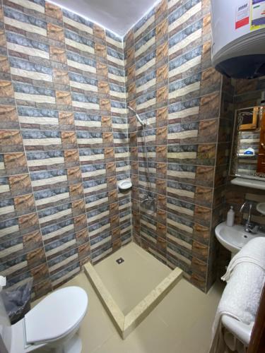 a bathroom with a shower and a toilet and a sink at Pyramids Lounge Guest House in Cairo