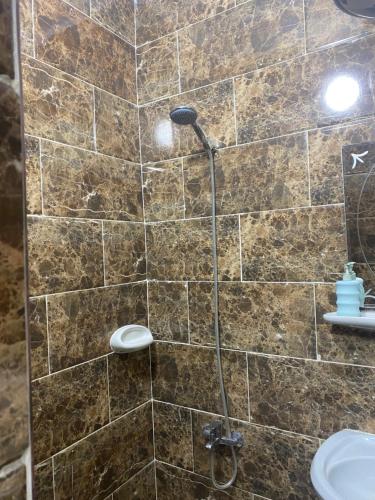 a shower with a shower head in a bathroom at Pyramids Lounge Guest House in Cairo