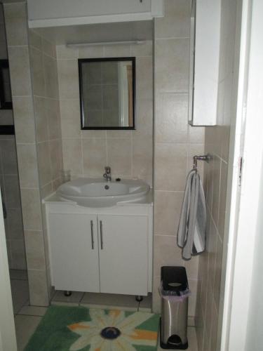 a bathroom with a sink and a mirror at Meander In in Howick
