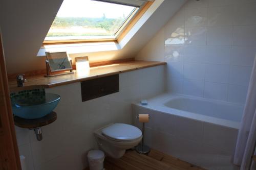 a bathroom with a toilet and a sink and a window at L'Aide Frechu in Mortain