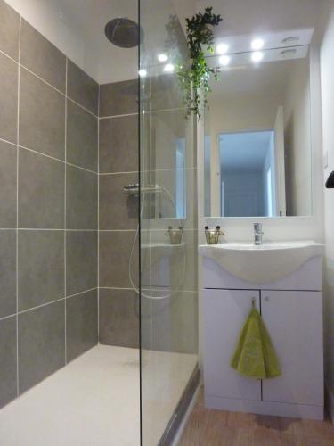 une salle de bain avec douche et lavabo dans l'établissement LE LAVARIN Balcon et Parking privé WIFI, à Avignon