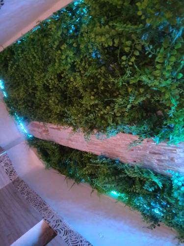 a green hedge with blue lights on it at B&B Romeo in Bari