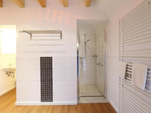 a bathroom with a walk in shower and a sink at Apartment in Lissendorf with a paid private sauna in Lissendorf