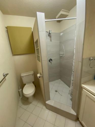 a bathroom with a shower and a toilet and a sink at Alleyne’s Retreat in Saint Peter