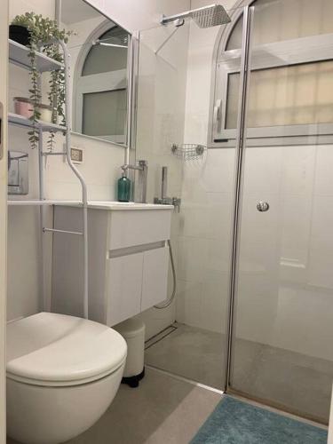 ein weißes Bad mit einem WC und einer Dusche in der Unterkunft Ha-DEKEL in Jerusalem