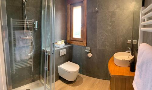 a bathroom with a shower and a toilet and a sink at Auberge Quintessence in Roubion