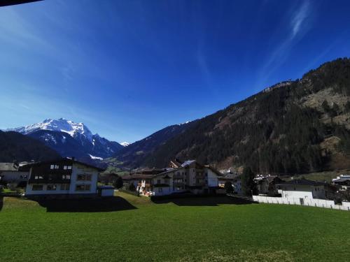 a green field with houses and mountains in the background at Haus Viktoria in Mayrhofen