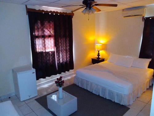 um quarto com uma cama e uma ventoinha de tecto em Hotel Dalinky em San Jorge