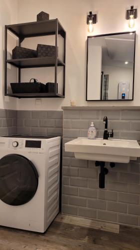 uma casa de banho com uma máquina de lavar roupa e um lavatório em Apartment "The Loft" in Heiligenhafen em Heiligenhafen