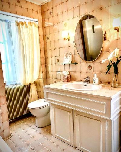 une salle de bain avec un lavabo, des toilettes et un miroir dans l'établissement La Lanterne Chambres d'Hotes, à Sarlat-la-Canéda