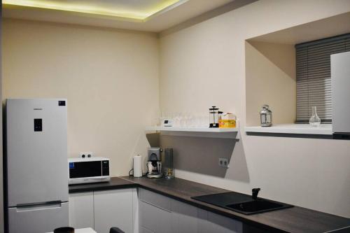 eine Küche mit einer Spüle und einem weißen Kühlschrank in der Unterkunft Scarbantia Casa in Sopron