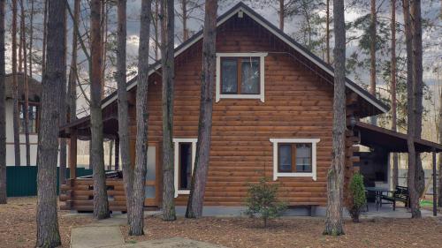 a log cabin in the woods with trees at Ekodom in Voropayev