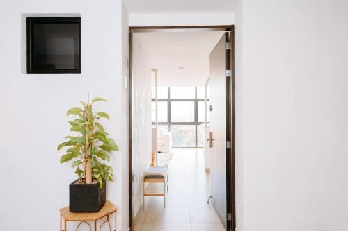 a hallway with a potted plant next to a door at O & D’s Gallery Apartment in San Salvador