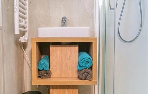 La salle de bains est pourvue d'un lavabo et de serviettes sur une étagère. dans l'établissement Wildkraeuterweg 1, à Gottsdorf