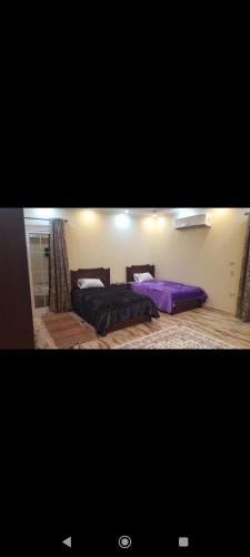 - 2 lits dans une chambre avec des draps violets dans l'établissement مدينه نصر مكرم عبيد, au Caire