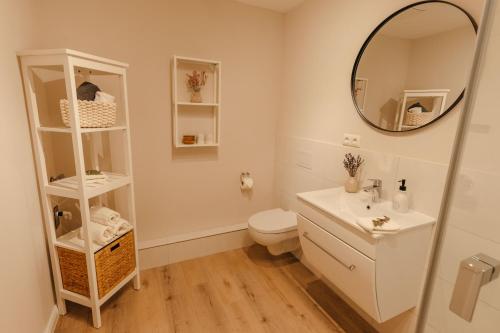 een badkamer met een wastafel, een toilet en een spiegel bij Holt Stuuv in Ratzeburg