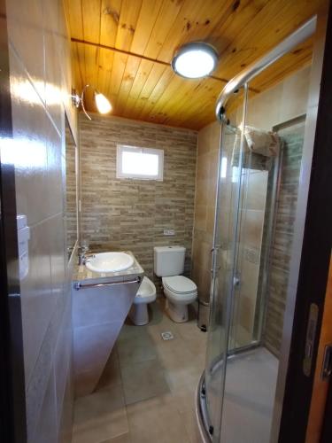 Bilik mandi di Aluminé Cabañas