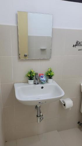 un lavandino in bagno con specchio e due piante sopra di Camilyn Home Stay a General Trias