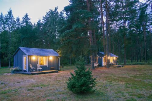 a small cabin with lights in a forest at Pussala Latgalē in Ezerukiņi