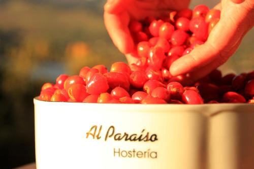 a person holding a bucket of red berries at Hosteria Al Paraiso in Villa Pehuenia