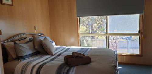 Bett in einem Zimmer mit einem großen Fenster in der Unterkunft Mount Rumney Escapes - 1h Haven Horse House in Mount Rumney
