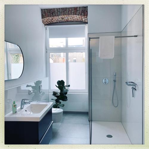a bathroom with a glass shower and a sink at Wohnen im Baudenkmal mitten in der Altstadt in Arnsberg