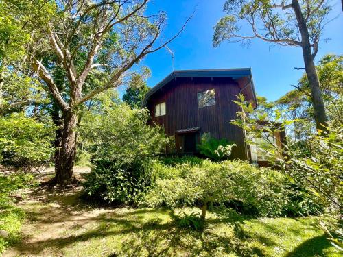 Taman di luar Sublime Cedar Lodge Leura
