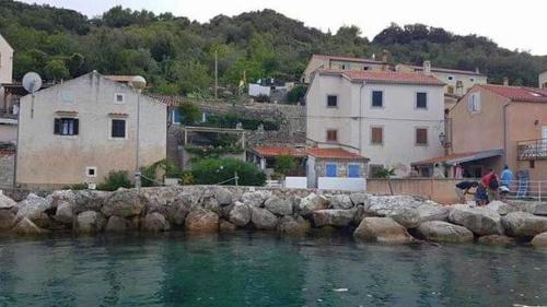 Apartments by the sea Valun, Cres - 20860