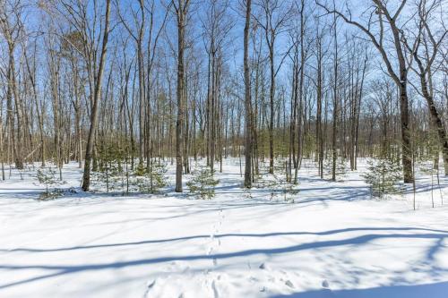 a snow covered field with trees in a forest at *4BR 2BA N Shore Hidden Retreat* in Roscommon