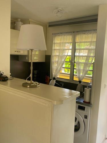 une cuisine avec une table avec une lampe et un lave-linge dans l'établissement Madinigwa au Trois-Ilets, à Fort-de-France
