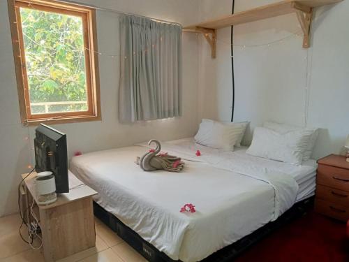a bedroom with two beds and a tv and a window at LoTide Surf Camps Lombok in Kuta Lombok