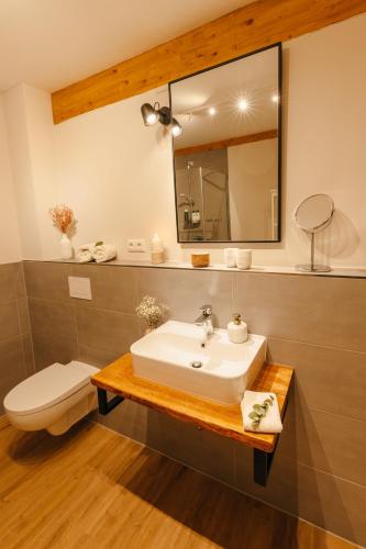 a bathroom with a sink and a toilet and a mirror at Frünn Stuuv in Ratzeburg
