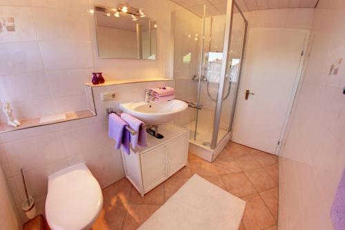La salle de bains est pourvue de toilettes, d'un lavabo et d'une douche. dans l'établissement Sonnenhäusle Klaus und Sabine Schmid, à Immenstadt