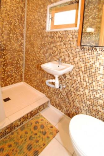 a bathroom with a sink and a toilet at Audrones sodyba in Šventoji