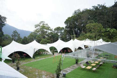 un groupe de tentes blanches sur un champ vert dans l'établissement iGo Glamz 爱狗露营 Pet Friendly Glamping, à Genting Highlands
