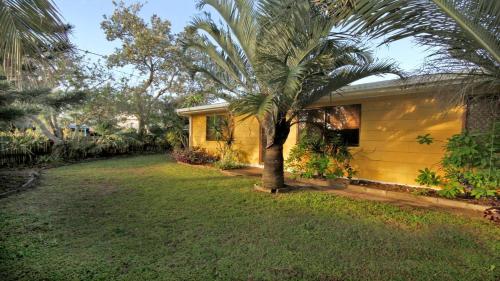 a yellow house with a palm tree in the yard at 15 Clematis Court in Marcoola