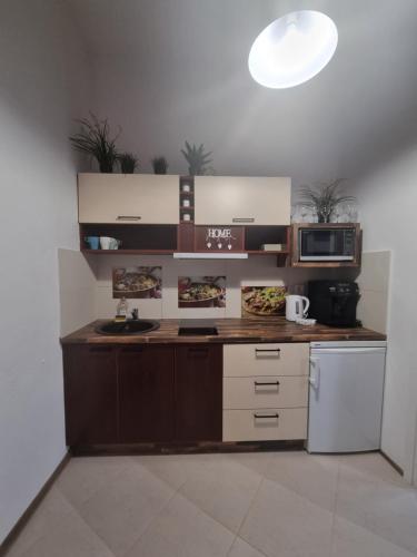 Een keuken of kitchenette bij Nemuno Apartamentai