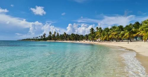 uma praia com um monte de palmeiras e o oceano em Casa Mano Juan em Mano Juan
