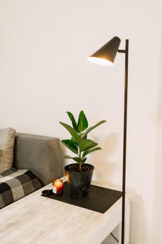 a plant sitting on a table next to a lamp at Black&White Нова стильна квартира на Київській in Ternopilʼ