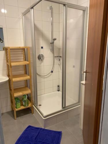 a shower with a glass door in a bathroom at Gasthof zur Sägemühle in Hiltpoltstein